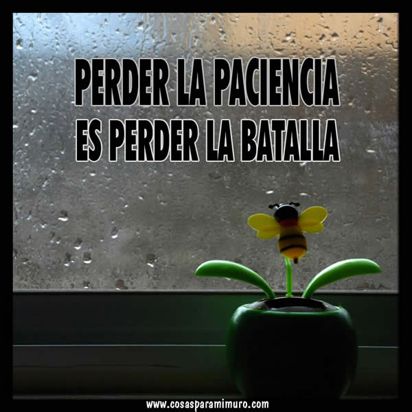 Perder la paciencia es perder la batalla Perder la paciencia es perder la batalla