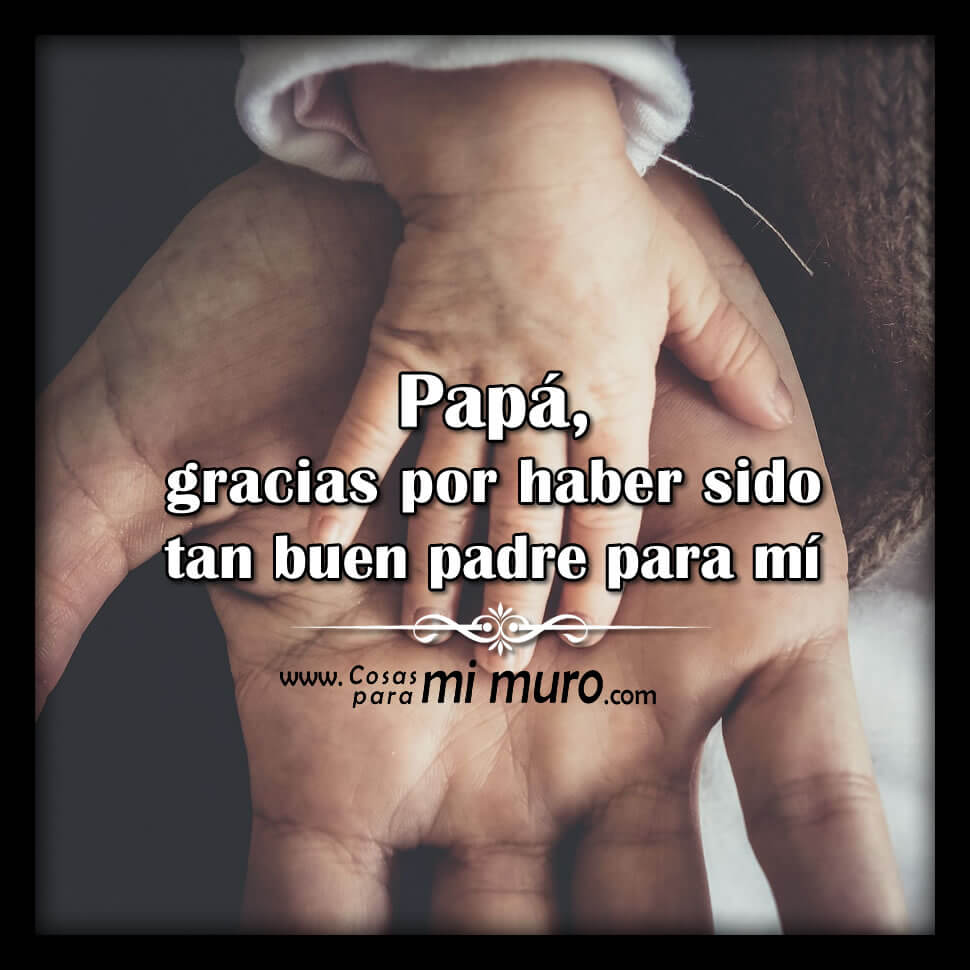 Pap&aacute;, mi buen padre