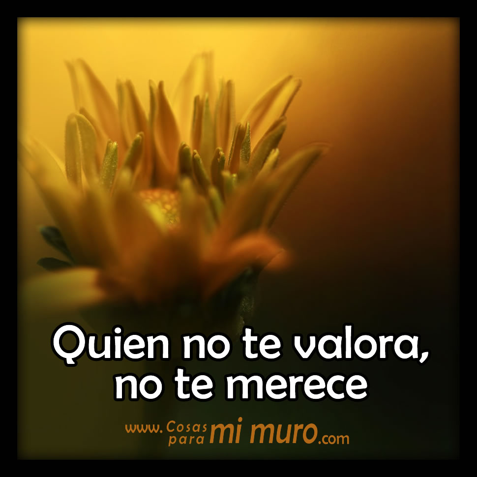 Reflexión en Shoshan Reflexión en Shoshan