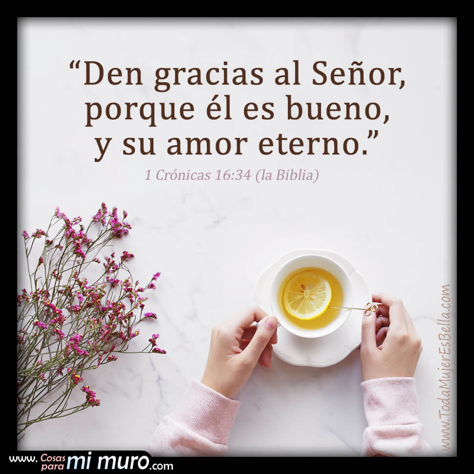 1&Acirc;&ordf; Cr&oacute;nicas 16:34 - Den gracias al Se&ntilde;or