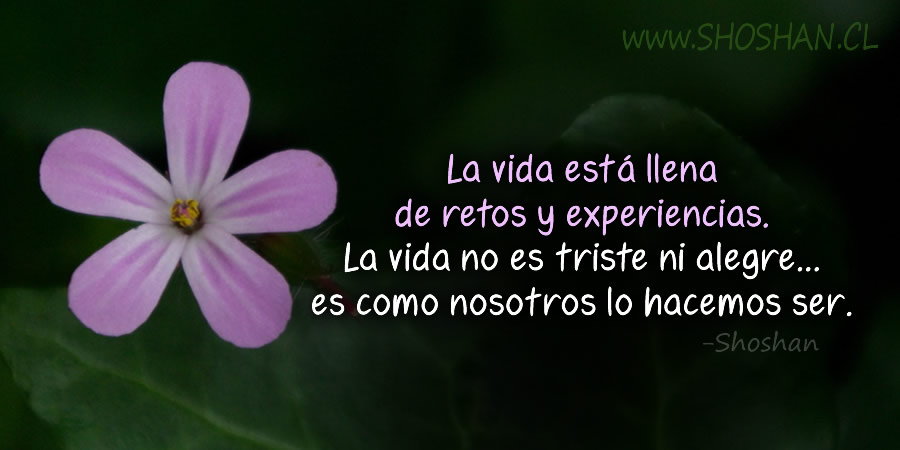 Aprendiendo a ser felices Aprendiendo a ser felices