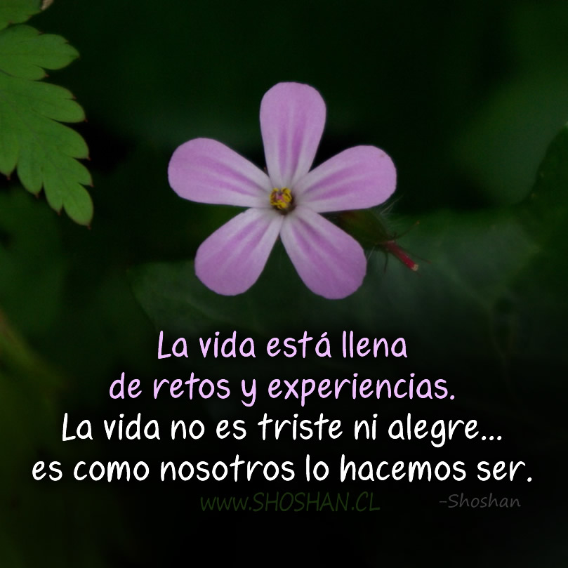 La vida...