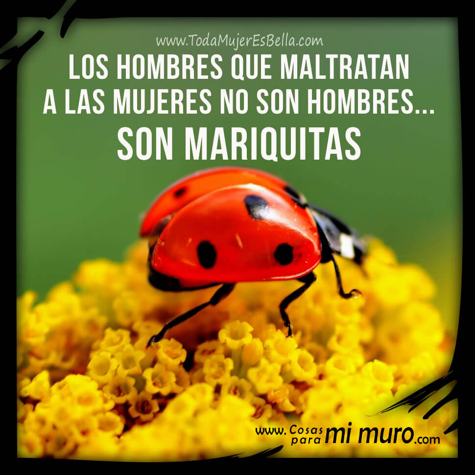 Hombres que maltratan a las mujeres... &iexcl;son mariquitas!