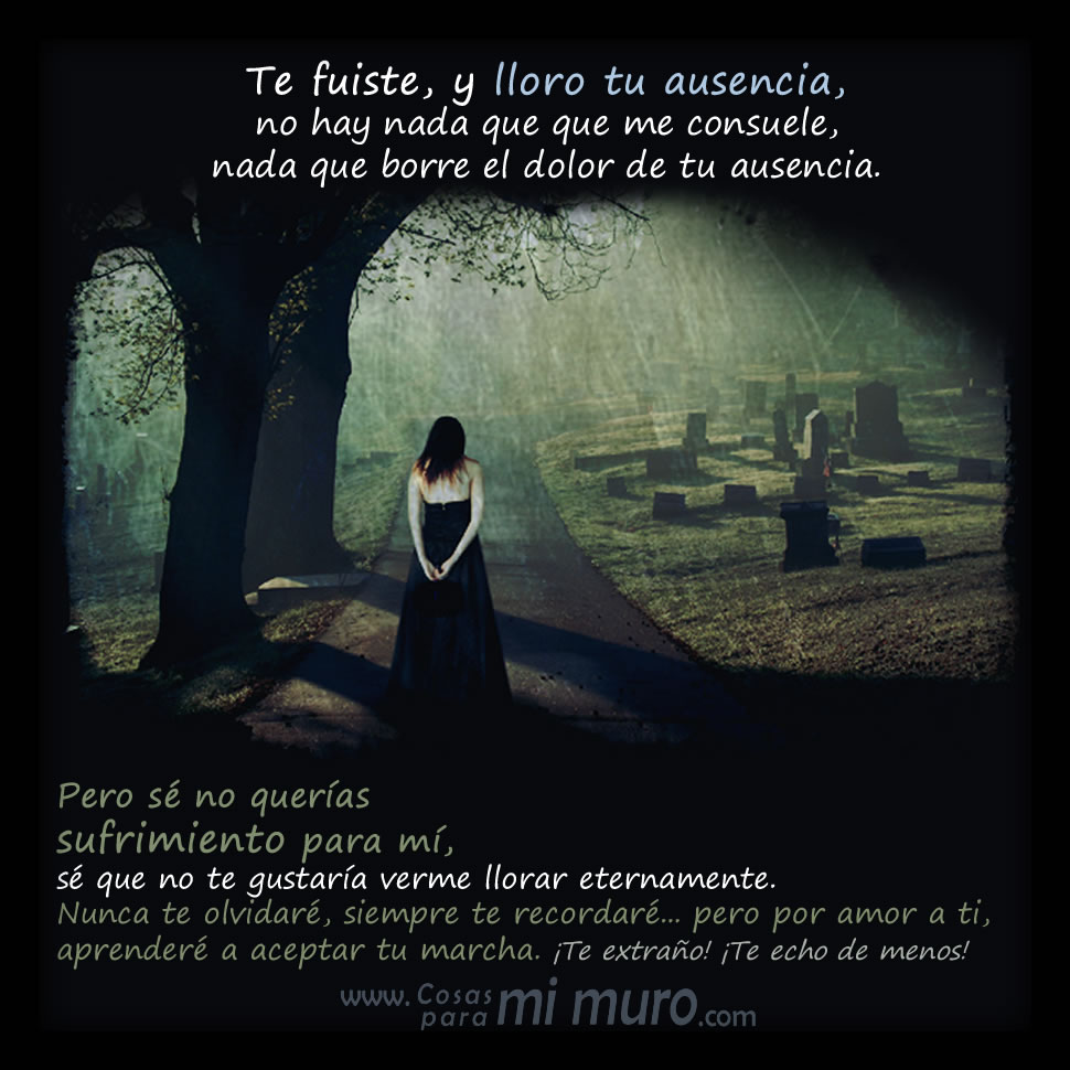 Con la muerte te fuiste y lloro tu ausencia