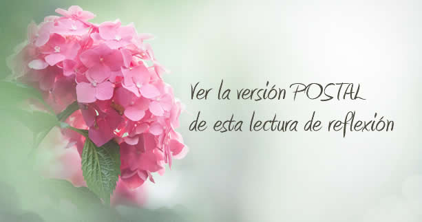 Reflexión, vivir un día a la vez Reflexión, vivir un día a la vez