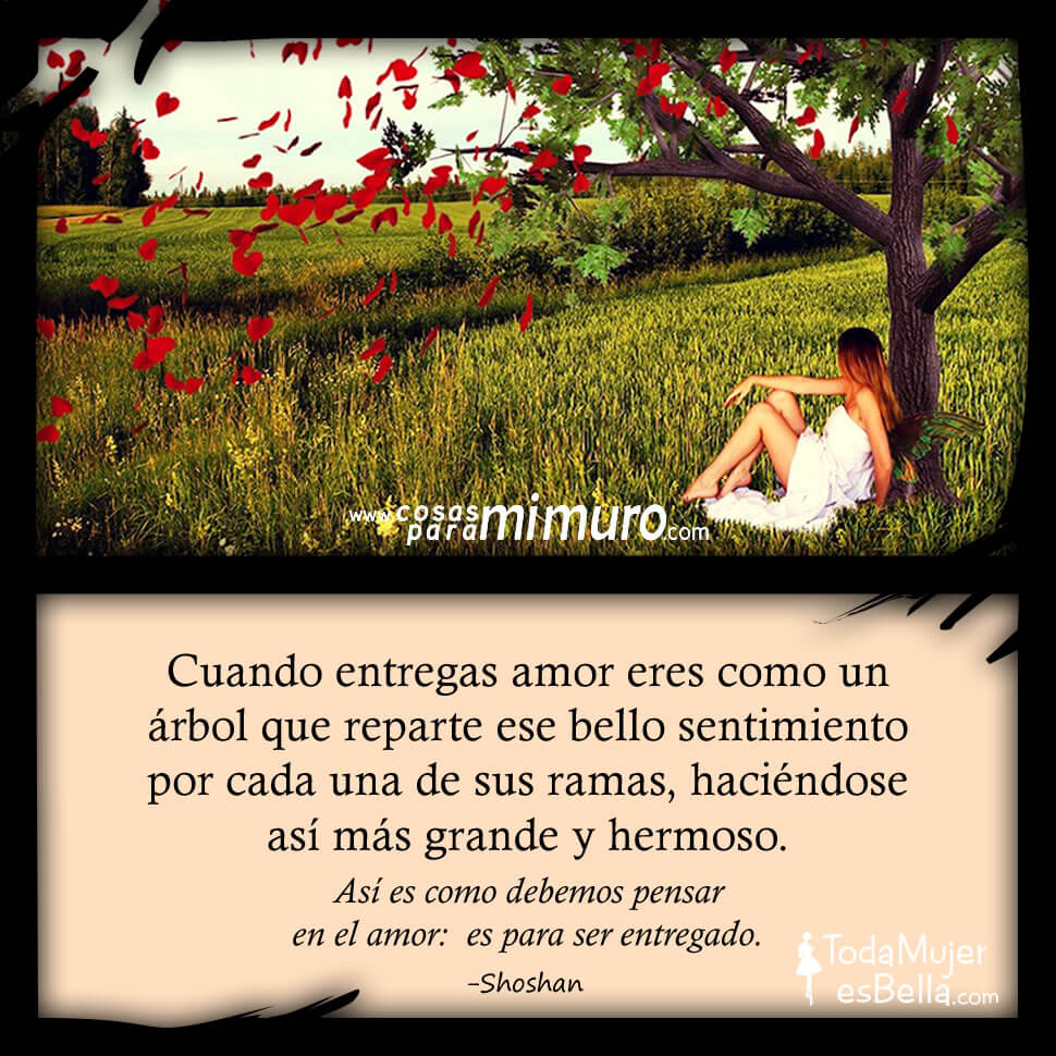 Cuando entregas amor eres como un &aacute;rbol...