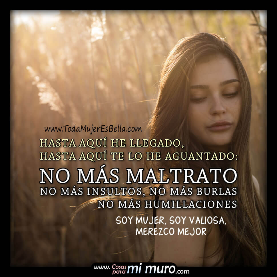 No m&aacute;s maltrato