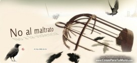 ¡No acepto tu maltrato, me voy!