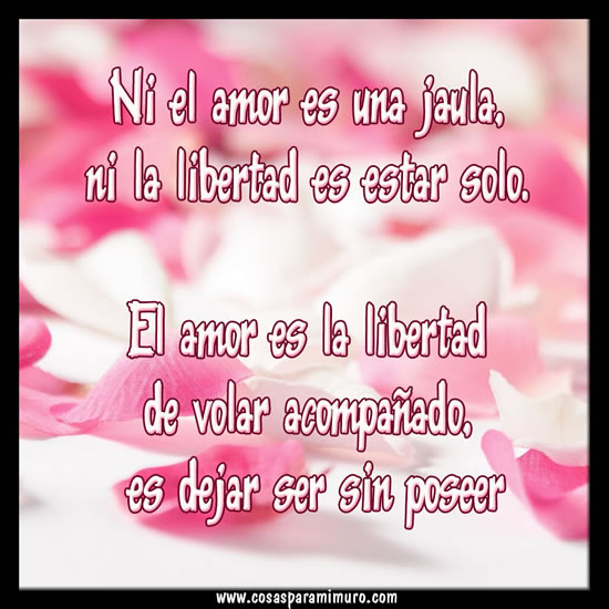 El amor es la libertad de volar acompañado sin poseer El amor es la libertad de volar acompañado sin poseer
