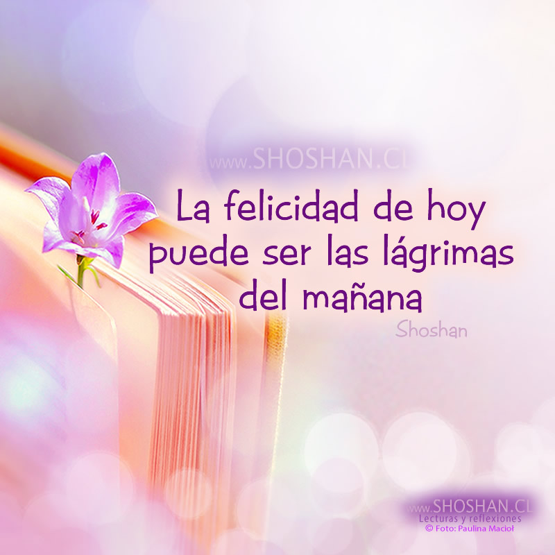 La felicidad de hoy puede ser las l&aacute;grimas del ma&ntilde;ana.
