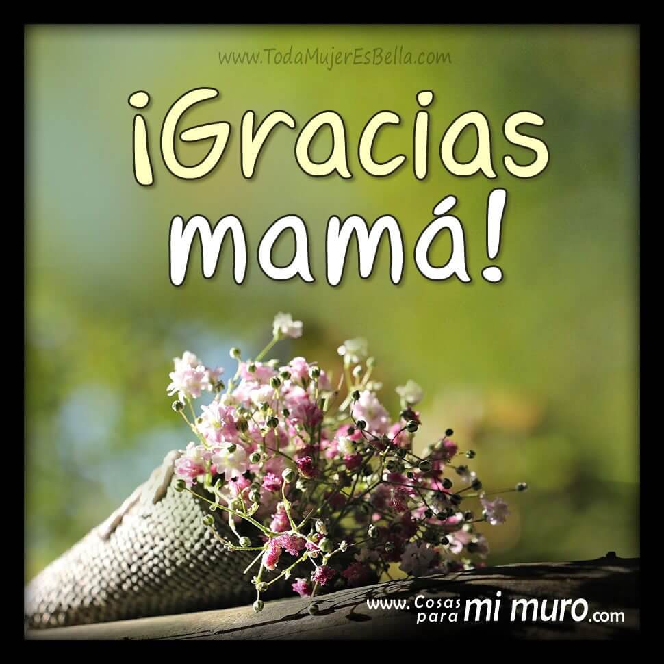¡Gracias mamá! ¡Gracias mamá!