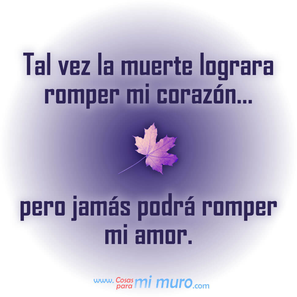 El amor y la muerte