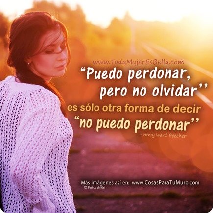 Puedo perdonar, pero no olvidar Puedo perdonar, pero no olvidar