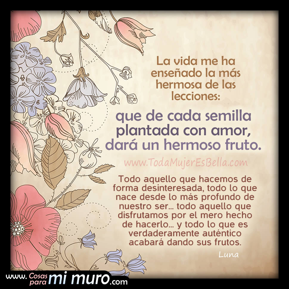 Lo que se hace con amor acaba dando fruto Lo que se hace con amor acaba dando fruto