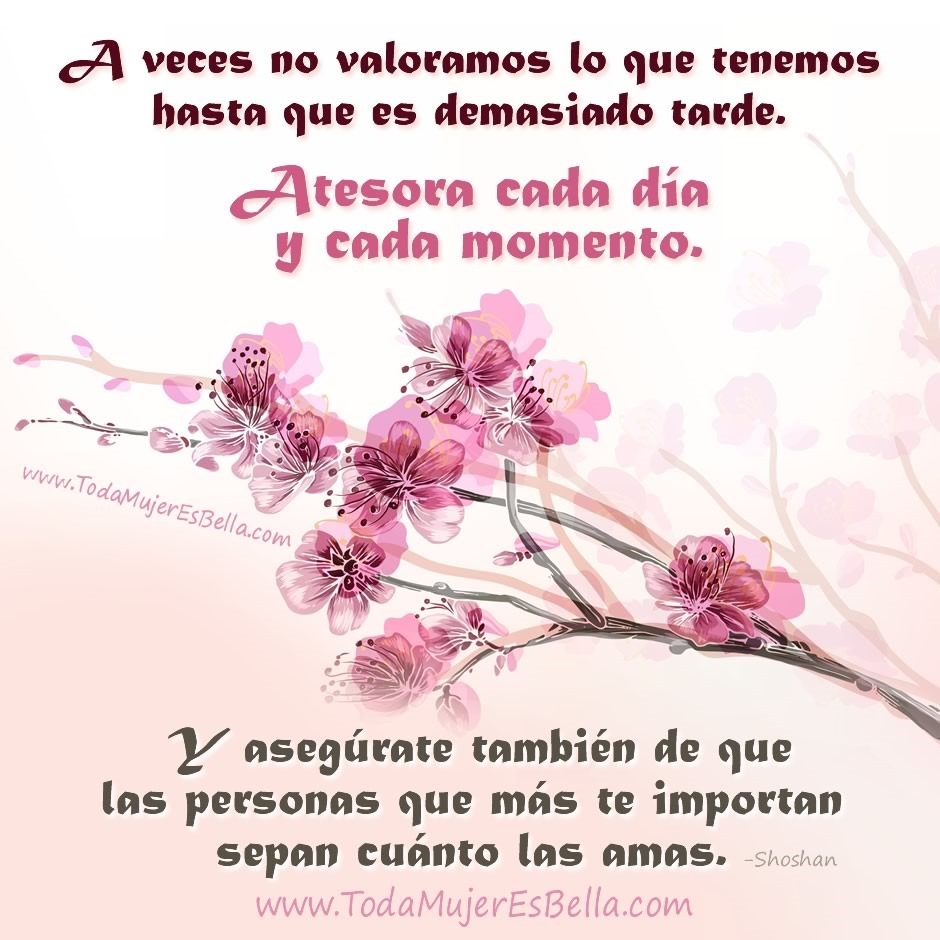 A veces no valoramos lo que tenemos hasta que es demasiado tarde. Atesora cada d&iacute;a y cada momento. Y aseg&uacute;rate tambi&eacute;n de que las personas que m&aacute;s te importan sepan cu&aacute;nto las amas.