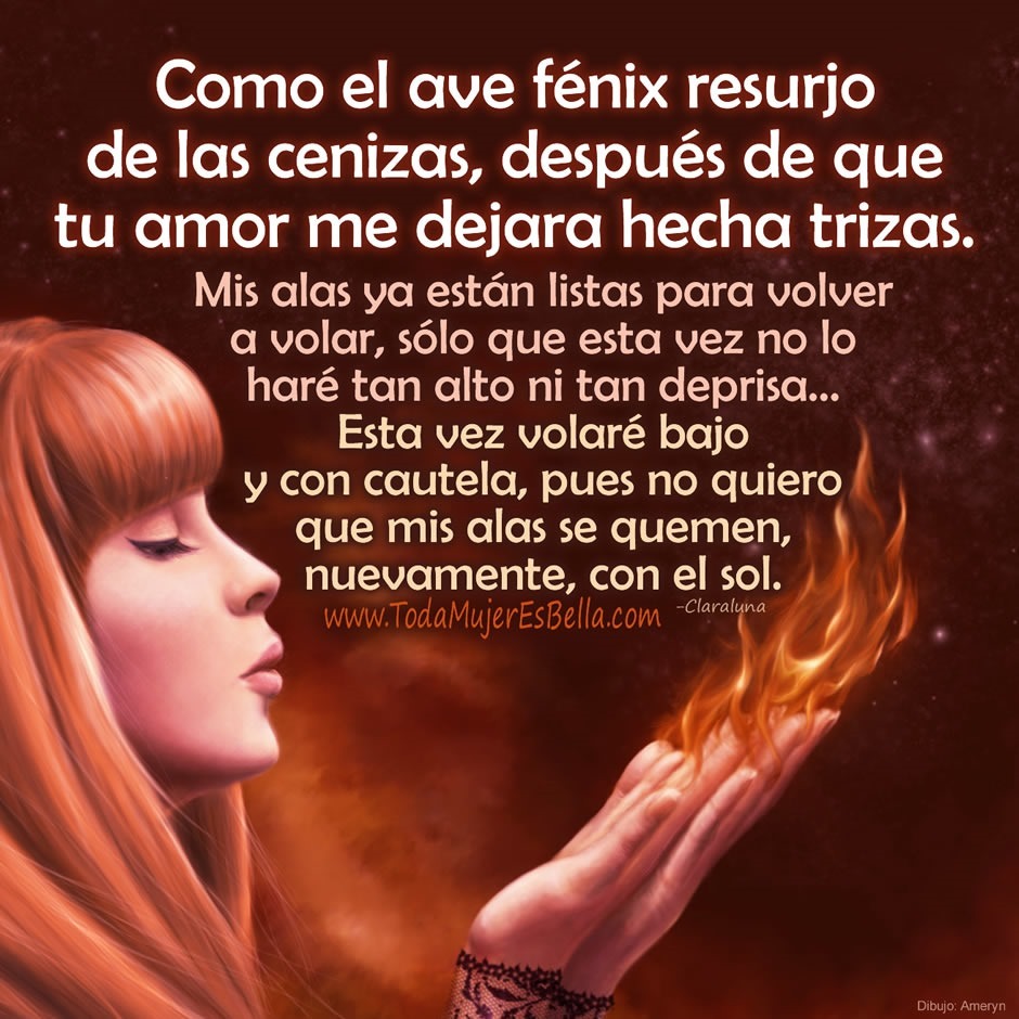 Como el ave f&eacute;nix resurjo de las cenizas, despu&eacute;s de que tu amor me dejara hecha trizas. Mis alas ya est&aacute;n listas para volver a volar, s&oacute;lo que esta vez no lo har&eacute; tan alto ni tan deprisa... Esta vez volar&eacute; bajo y con cautela, pues no quiero que mis alas se quemen, nuevamente, con el sol.