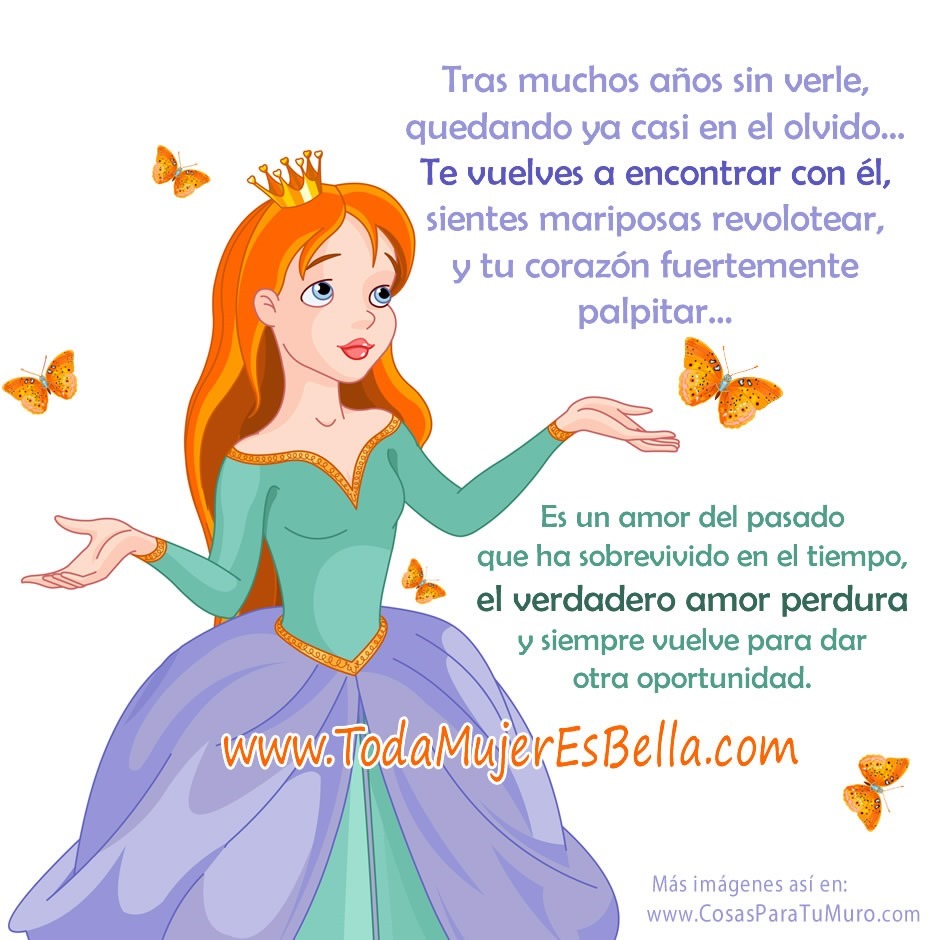 Tras muchos a&ntilde;os sin verle, quedando ya casi en el olvido&hellip; Te vuelves a encontrar con &eacute;l, sientes mariposas revolotear, y tu coraz&oacute;n fuertemente palpitar&hellip; Es un amor del pasado que ha sobrevivido en el tiempo, el verdadero amor perdura y siempre vuelve para dar otra oportunidad.