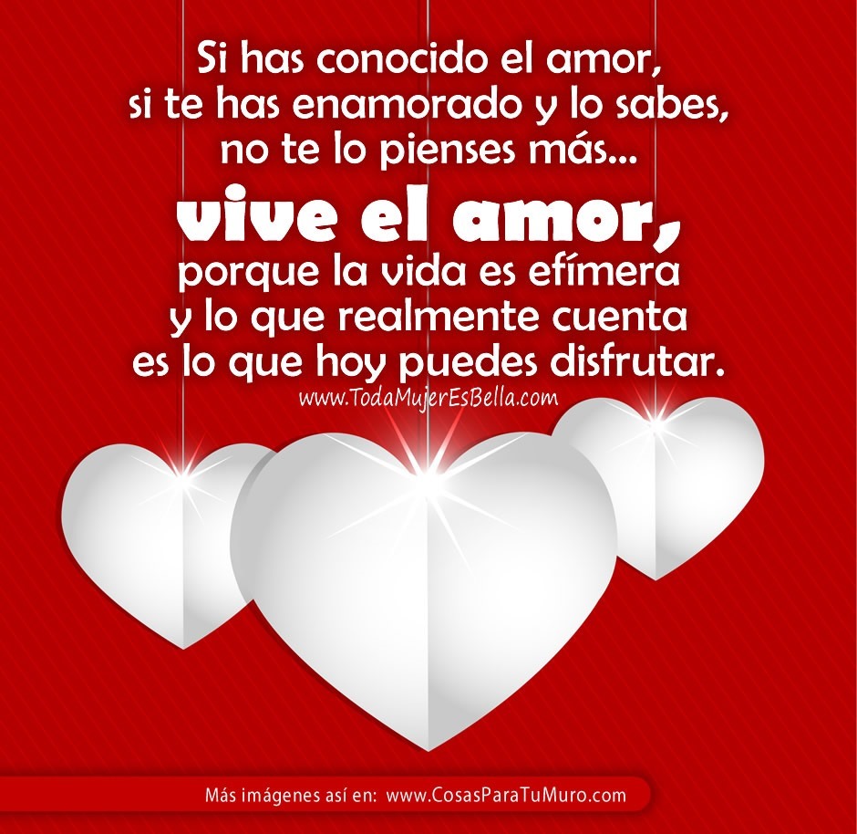 Si has conocido el amor, si te has enamorado y lo sabes, no te lo pienses m&aacute;s&hellip; vive el amor,  porque la vida es ef&iacute;mera y lo que realmente cuenta es lo que hoy puedes disfrutar.