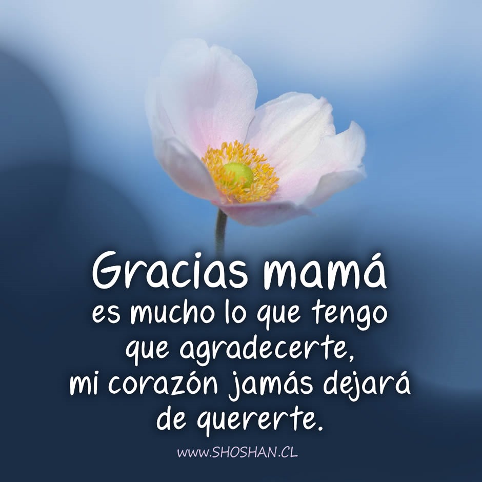 Carta para mam&aacute;