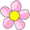 60-rosa