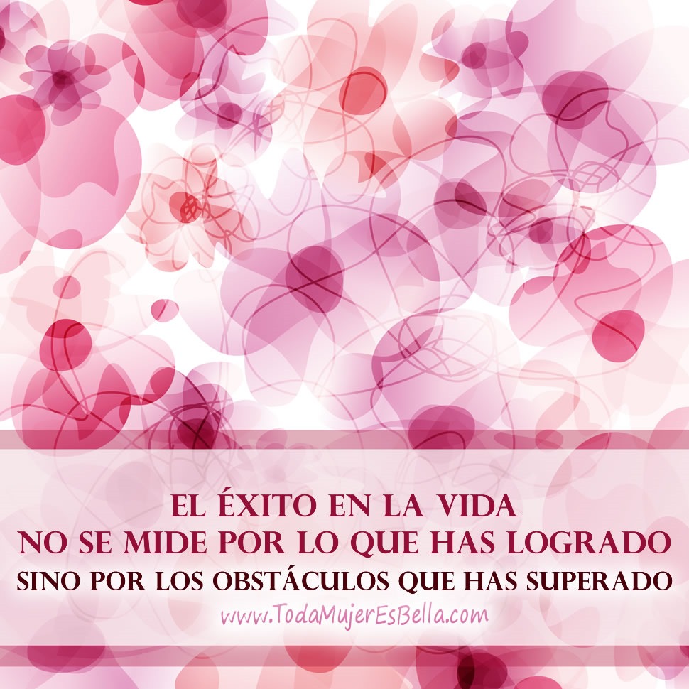 El &eacute;xito en la vida no se mide por lo que has logrado, sino por los obst&aacute;culos que has superado