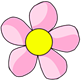 60-rosa