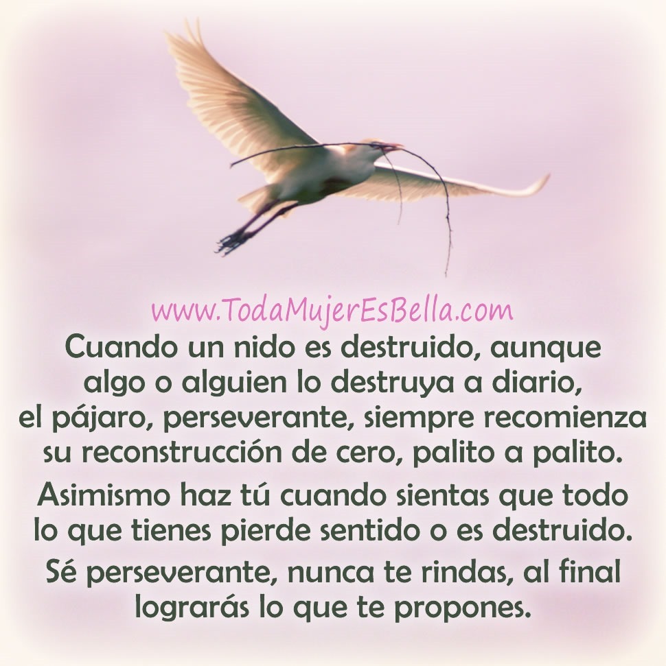 Cuando un nido es destruido, aunque algo o alguien lo destruya a diario, el p&aacute;jaro, perseverante, siempre recomienza su reconstrucci&oacute;n de cero, palito a palito. Asimismo haz t&uacute;, cuando sientas que todo lo que tienes pierde sentido o es destruido. S&eacute; perseverante, nunca te rindas, al final lograr&aacute;s lo que te propones.