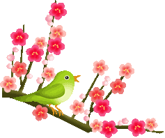 pajarito
