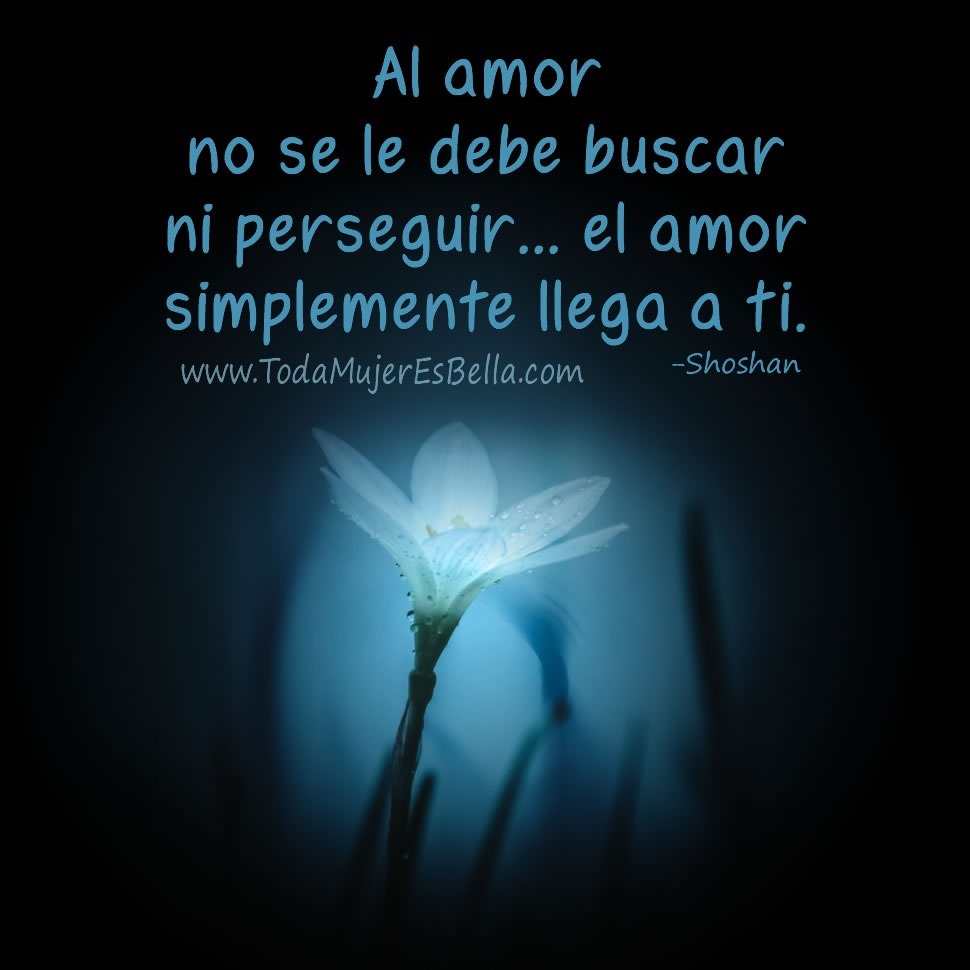 Al amor no se le debe buscar ni perseguir&hellip;  el amor simplemente llega a ti.