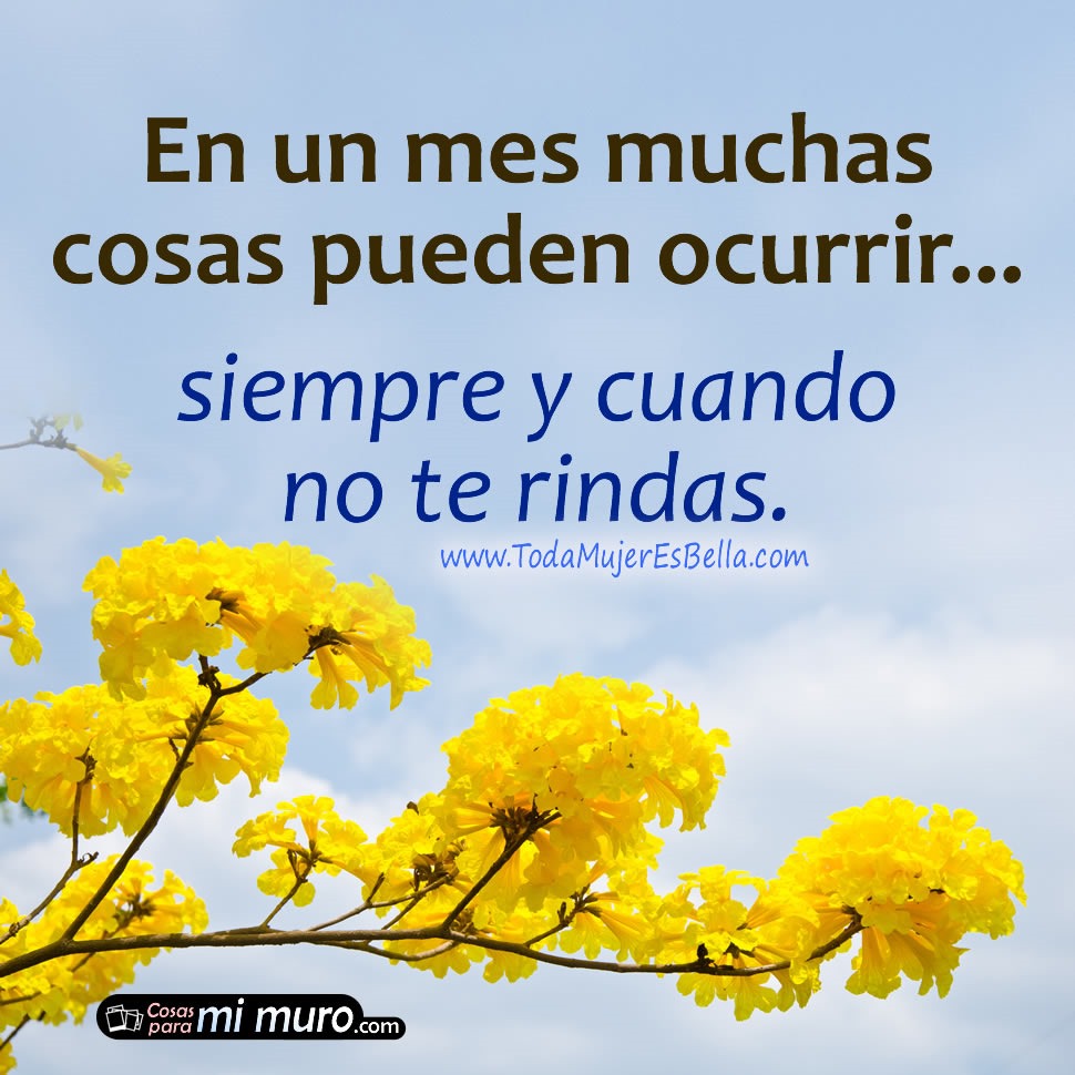En un mes muchas cosas pueden ocurrir… siempre y cuando no te rindas. En un mes muchas cosas pueden ocurrir… siempre y cuando no te rindas.