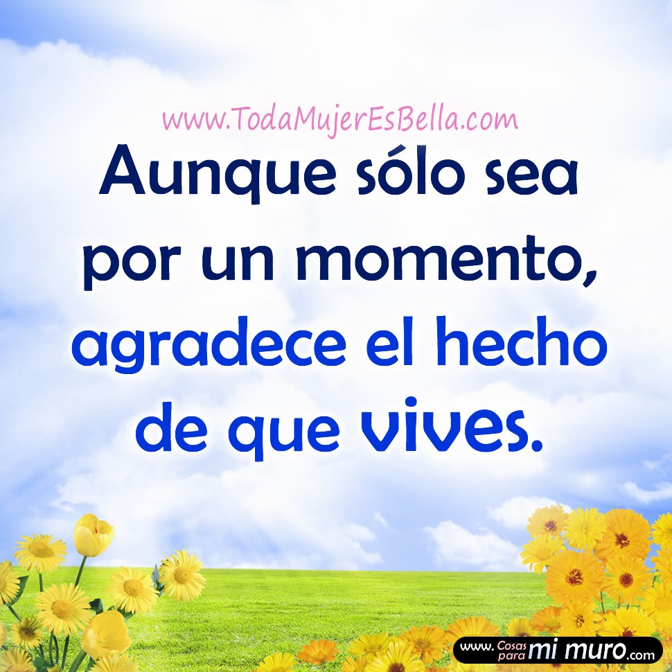 Aunque sólo sea por un momento, agradece el hecho de que vives. Aunque sólo sea por un momento, agradece el hecho de que vives.