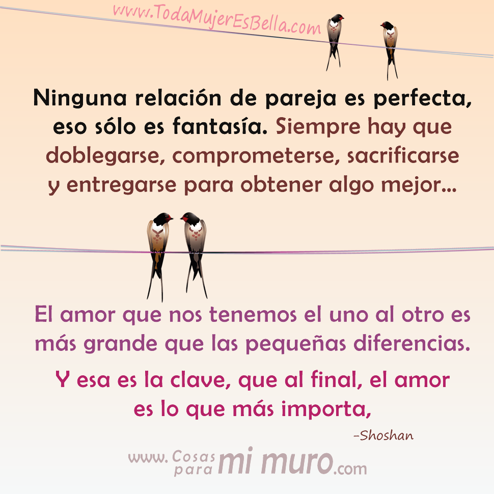 Ninguna relaci&oacute;n de pareja es perfecta, eso s&oacute;lo es fantas&iacute;a. Siempre hay que doblegarse, comprometerse, sacrificarse y entregarse para obtener algo mejor&hellip; El amor que nos tenemos el uno al otro es m&aacute;s grande que las peque&ntilde;as diferencias. Y esa es la clave, que al final, el amor es lo que m&aacute;s importa y lo que mejor se disfruta.