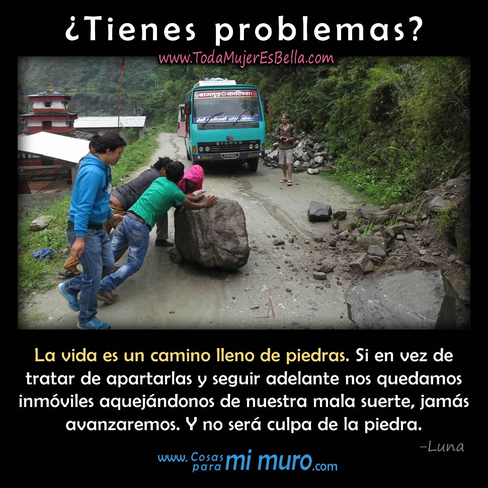 La vida es un camino lleno de piedras
