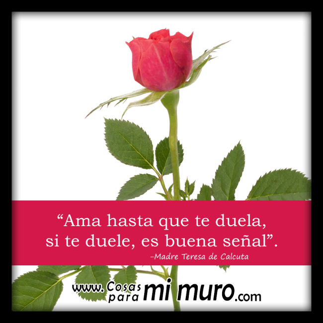 Ama hasta que duela, si te duele, es buena se&ntilde;al