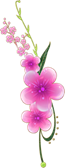 flores_subiendo