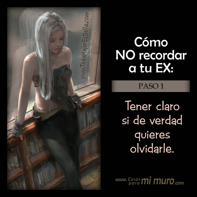 C&oacute;mo no recordar a tu ex