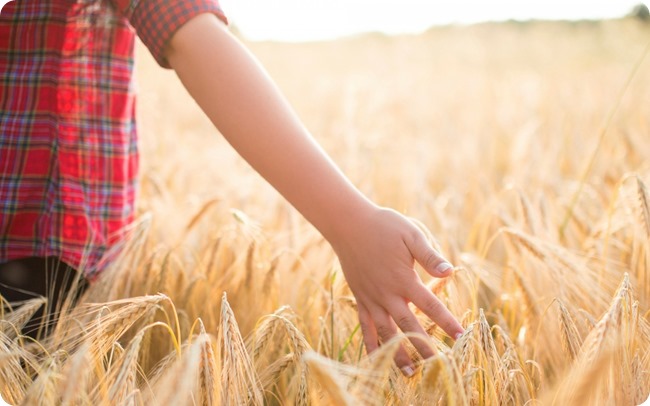 mood-boy-hand-field-wheat-background-1680x1050