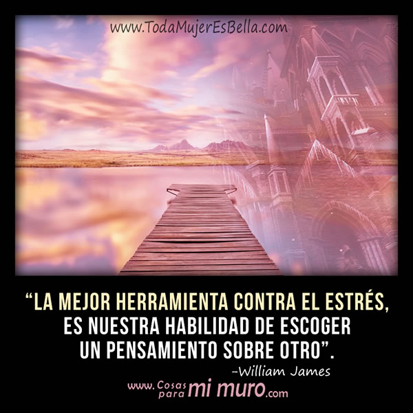 La mejor herramienta contra el estr&eacute;s