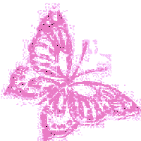 mariposa-rosa
