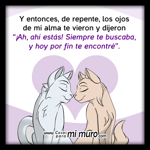 mi alma gemela, te vi por fin