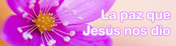 La paz que Jes&uacute;s nos dio