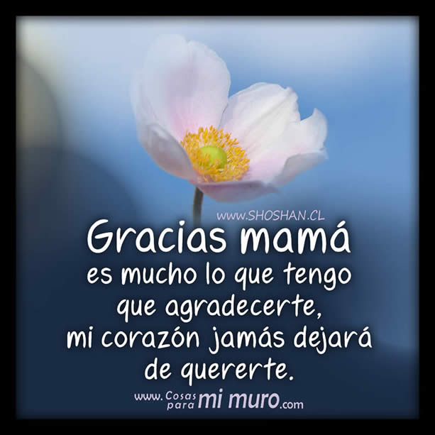 Carta para una madre