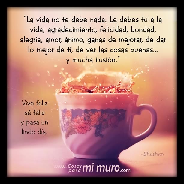 la vida no te debe nada