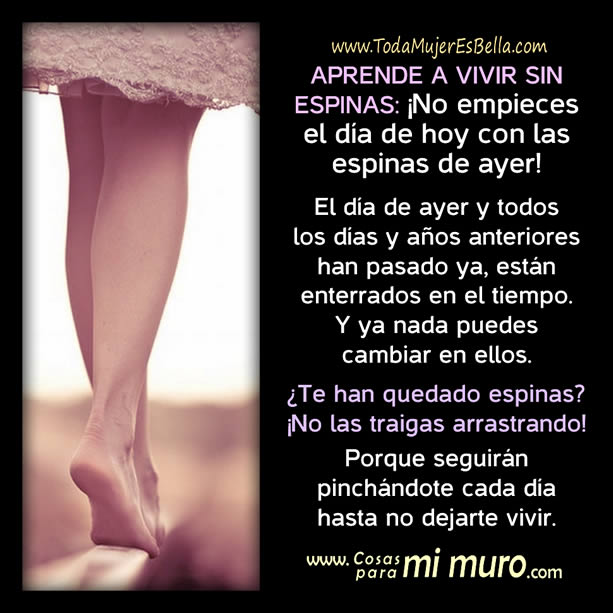 aprende a vivir sin espinas