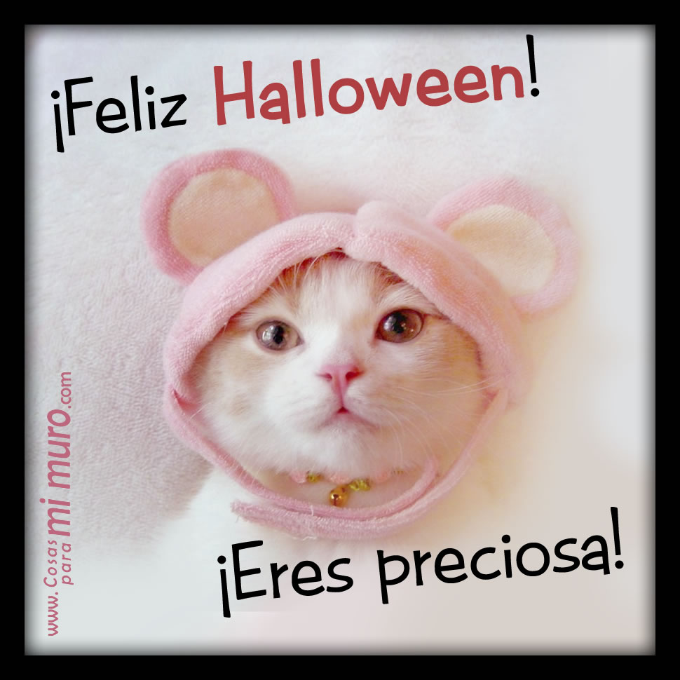 Feliz Halloween, eres preciosa Feliz Halloween, eres preciosa