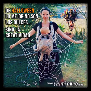 Lo mejor de Halloween no son los dulces sino la creatividad. Lo mejor de Halloween no son los dulces sino la creatividad.