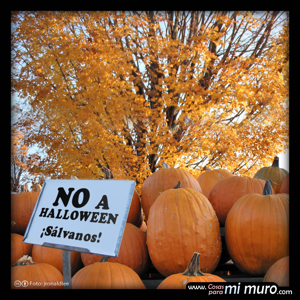 No a Halloween, campaña contra halloween No a Halloween, campaña contra halloween