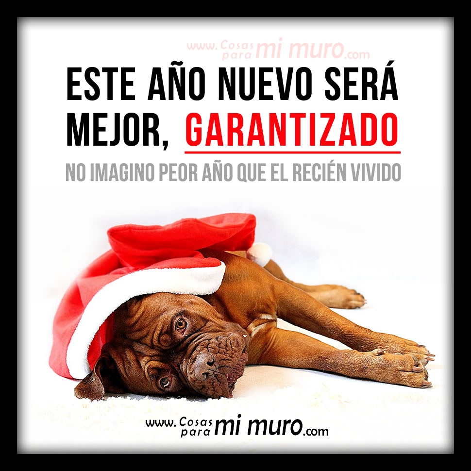 Mejor a&ntilde;o nuevo, GARANTIZADO