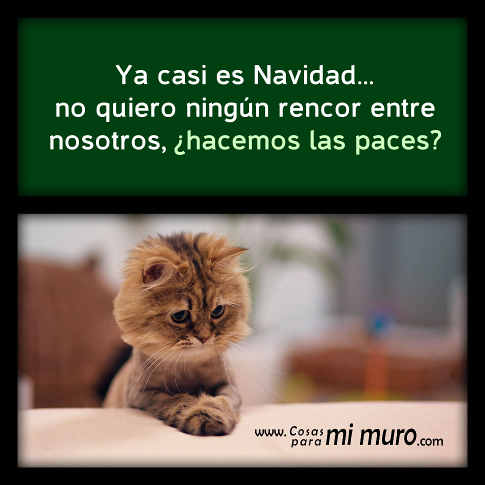 Navidad sin rencores
