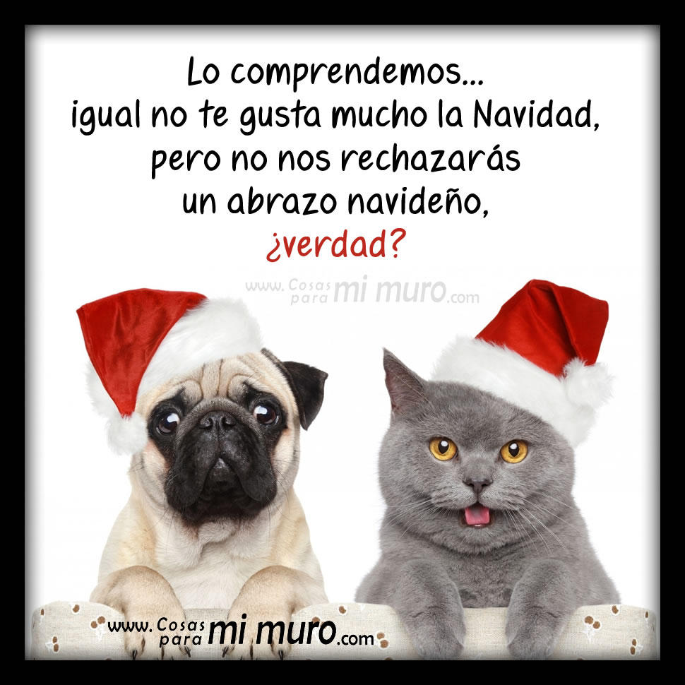¿No rechazarás un abrazo navideño, verdad? ¿No rechazarás un abrazo navideño, verdad?